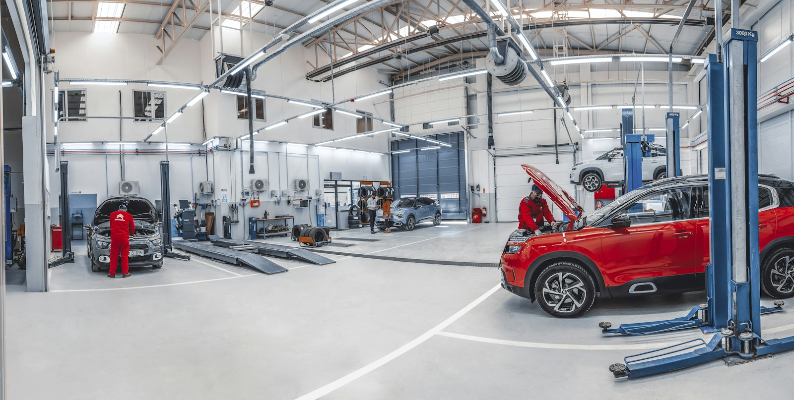 HARRY AUTO BODY